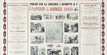 Hachette le géant aux ailes brisées