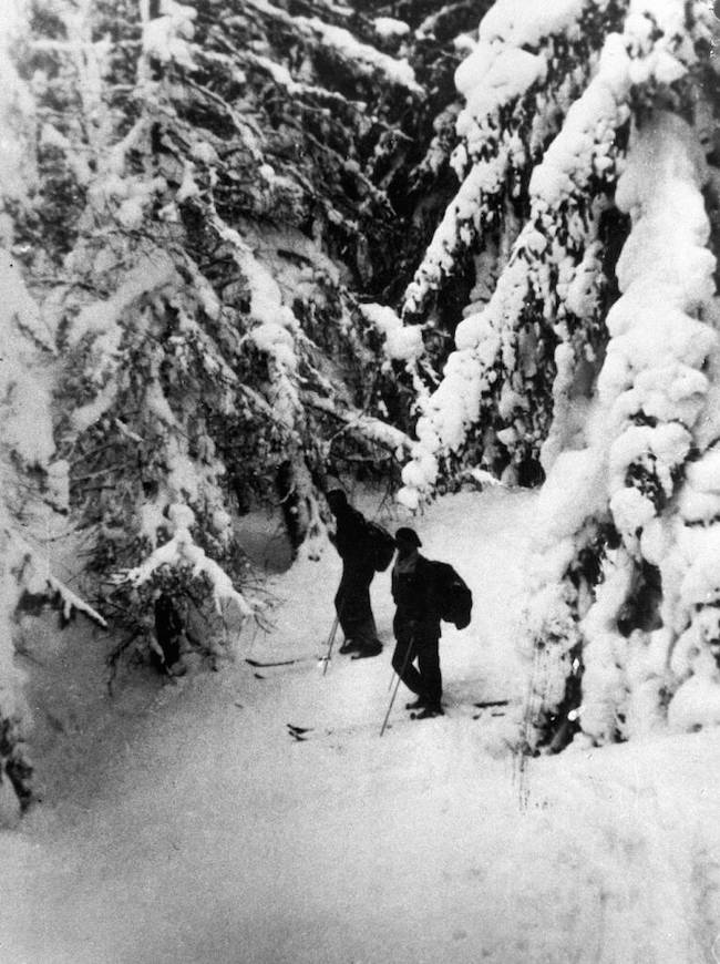 vercors paddy ashdown