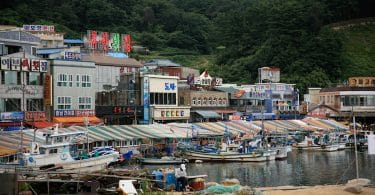 sokcho elisa shua dusapin