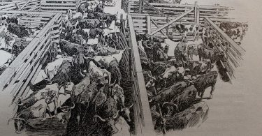 Jacques Damade, Abattoirs de Chicago : le monde humain