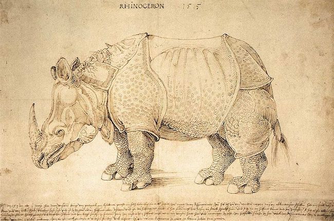 Eric Baratay, Biographies animales, Seuil & Jean-Bernard Véron, Le rhinocéros de Dürer, Actes Sud 