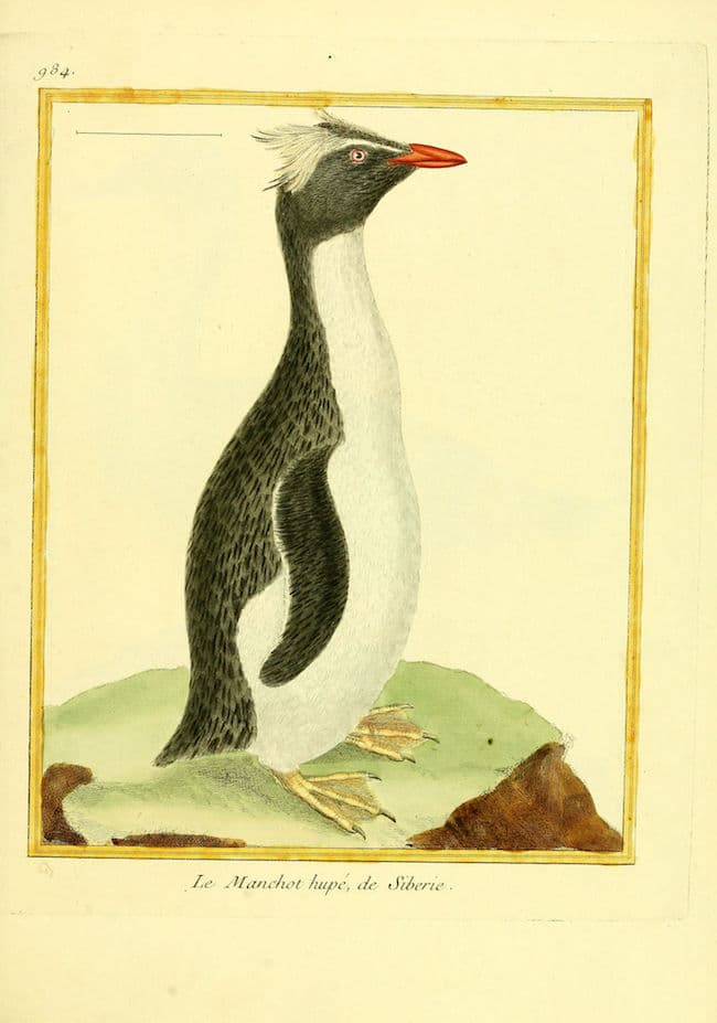 Joël Baqué, La fonte des glaces, POL