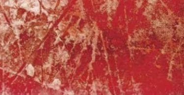 Richard Wagamese, Jeu blanc