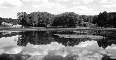 Claire-Louise Bennett, L’étang