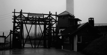 Luba Jurgenson et Nicolas Werth (dir.), Le goulag. Témoignages et archives