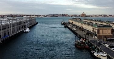 Jonathan Franzen, Phénomènes naturels