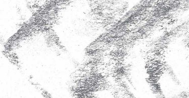 Ceija Stojka, Nous vivons cachés. Récits d’une Romni à travers le siècle