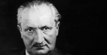 Friedrich-Wilhelm von Hermann et Francesco Alfieri, Martin Heidegger. La vérité sur ses Cahiers noirs