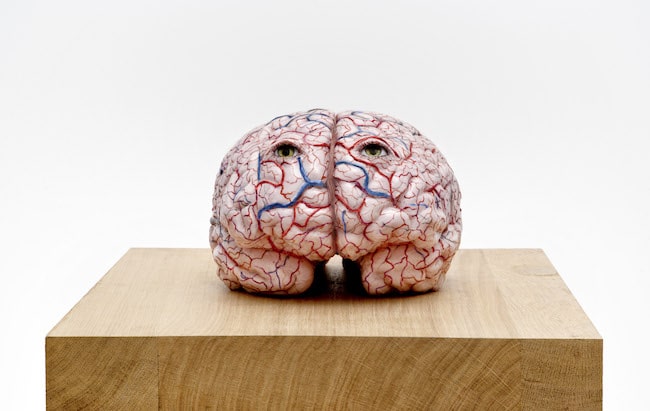 Jan Fabre – Ma nation : l’imagination