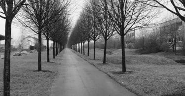 Peter Kurzeck, Un hiver de neige