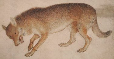 Michel Pastoureau, Le loup. Une histoire culturelle
