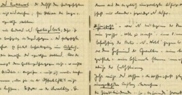 Les cahiers noirs de Martin Heidegger Marc Lebiez