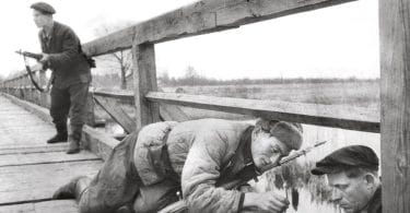 Masha Cerovic, Les enfants de Staline. La guerre des partisans soviétiques (1941-1944)