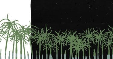 Beata Umubyeyi Mairesse, Après le progrès