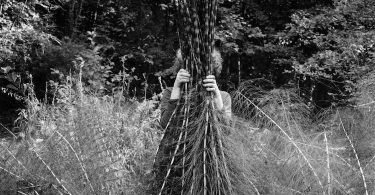 Claudie Hunzinger, Les grands cerfs