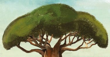 David Birmingham, Histoire de l’Angola de 1820 à nos jours