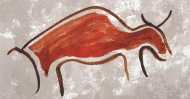 Catherine Blondeau, Débutants