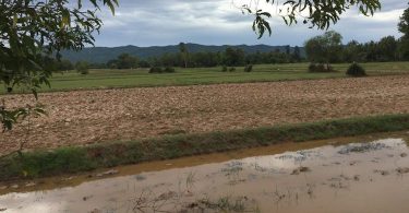 Rithy Panh et Christophe Bataille, La paix avec les morts