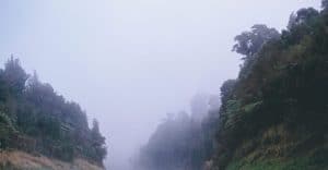 Romain Bertrand, Qui a fait le tour de quoi ? L’affaire Magellan