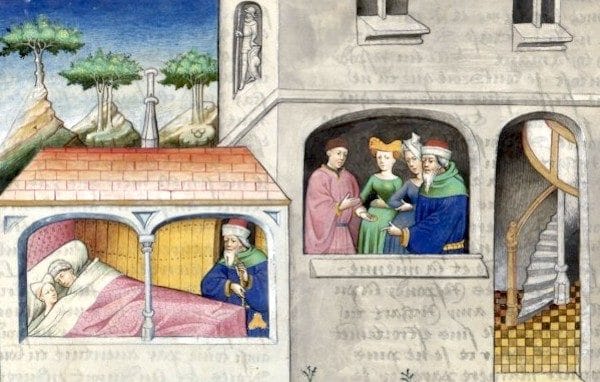 Décamérez ! Les amants du rossignol, une leçon d'histoire naturelle (j32)