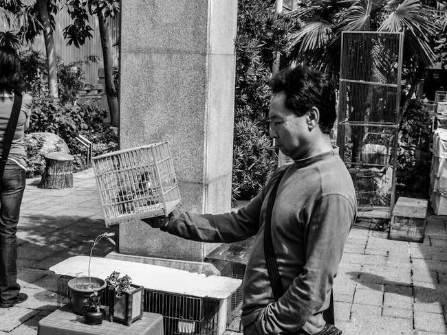 Frédéric Keck, Les sentinelles des pandémies. Chasseurs de virus et observateurs d’oiseaux aux frontières de la Chine