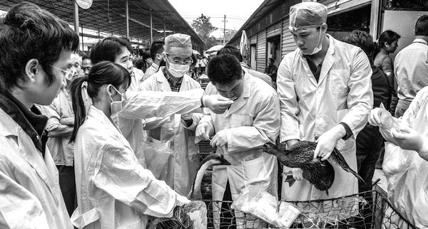 Frédéric Keck, Les sentinelles des pandémies. Chasseurs de virus et observateurs d’oiseaux aux frontières de la Chine