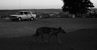 Lucie Baratte, Le chien noir