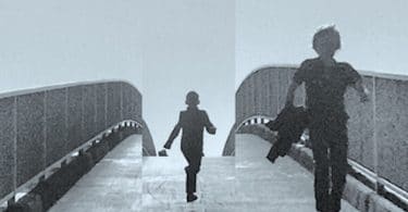 Laurent Petitmangin, Ce qu’il faut de nuit