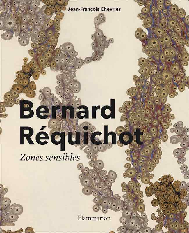 Jean-François Chevrier, Bernard Réquichot. Zones sensibles