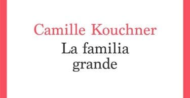 La familia grande de Camille Kouchner, du point de vue de la littérature