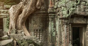 Une histoire universelle des ruines, d'Alain Schnapp