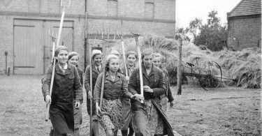 Hervé Bel, Oscar Lalo, Jérôme Prieur : regards sur la guerre allemande