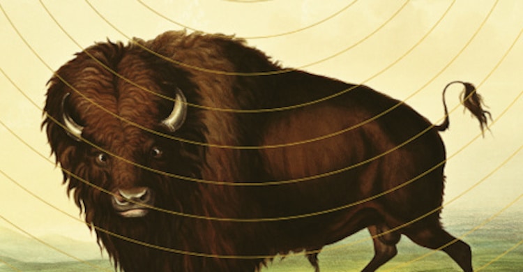 Pourquoi l'Amérique, de Matthew Baker : rêves américains