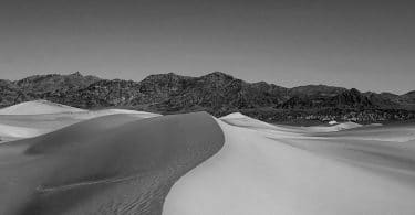 Foucault en Californie, de Simeon Wade : un philosophe sous LSD