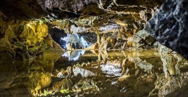 Les écrivains autour du blanc : un récit de Gauz