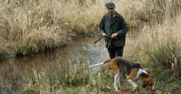 L’animal et la mort, de Charles Stépanoff : ouverture de la chasse