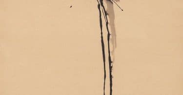 Le vif de l'art (7) : United States of Abstraction, 1946-1964
