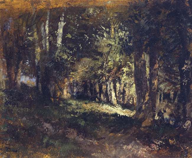 Par la forêt, le nouveau roman de Laura Alcoba : presque un conte