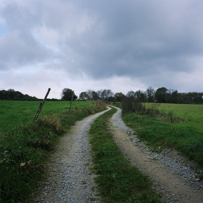 Édith de la Héronnière, Jan Synowiecki : chemins et jardins