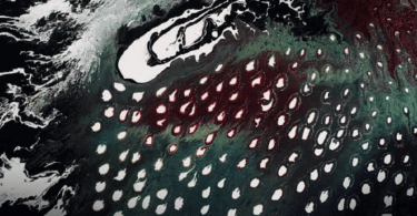 La dernière porte avant la nuit, d'António Lobo Antunes