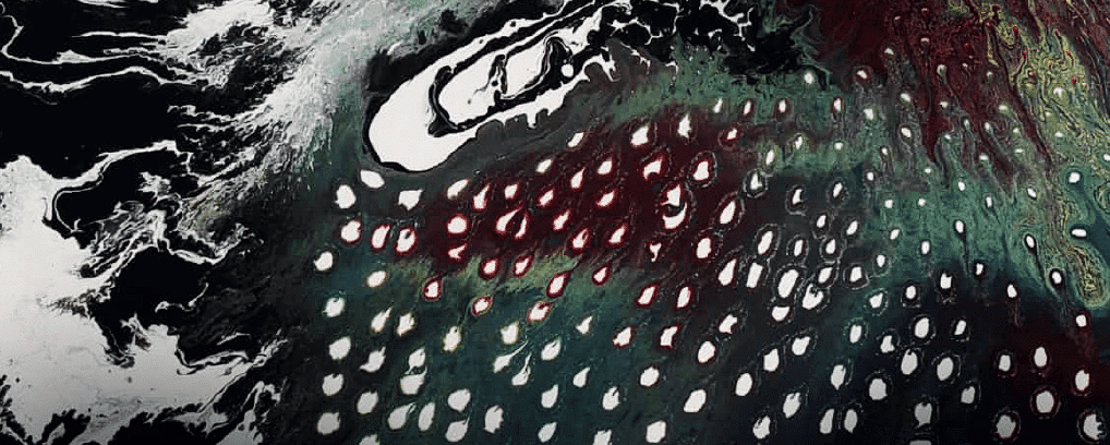 La dernière porte avant la nuit, d'António Lobo Antunes