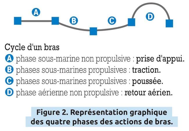 La natation est aussi une activité qui s’analyse scientifiquement. Didier Chollet apporte la vision professionnelle du sport à propos des quatre nages olympique