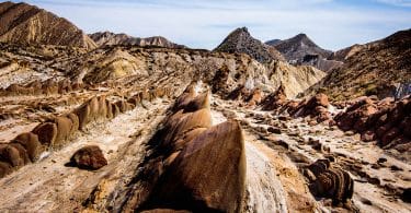 Un palmier en Arctique, de Nick Hunt : l'Europe sauvage