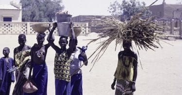Le genre de la lutte, d'Ophélie Rillon : la voix des Maliennes