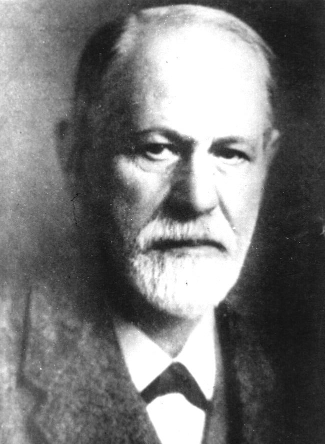 Marie Bonaparte et Sigmund Freud : la Correspondance intégrale