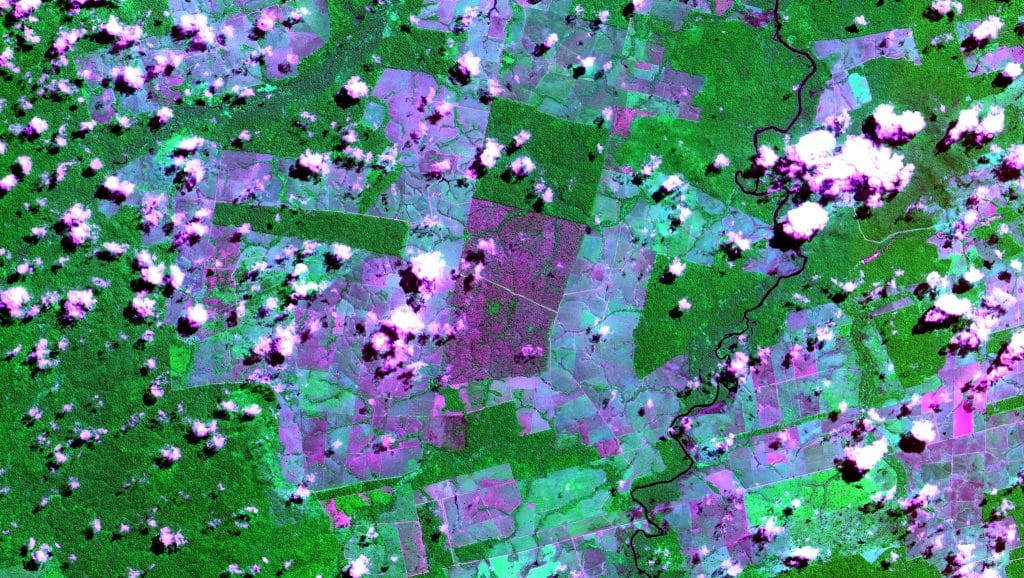 Image de déforestation au Brésil pour Jungles de Patrick Roberts
