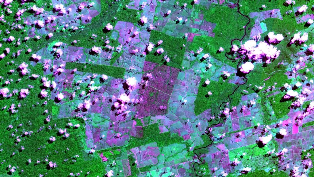 Image de déforestation au Brésil pour Jungles de Patrick Roberts