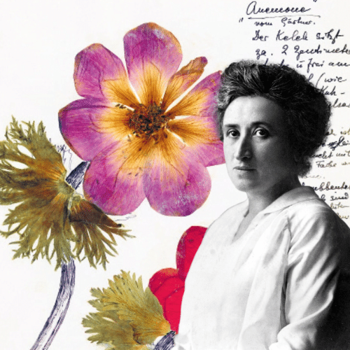 Rosa Luxemburg : Herbier de prison 1915-1918