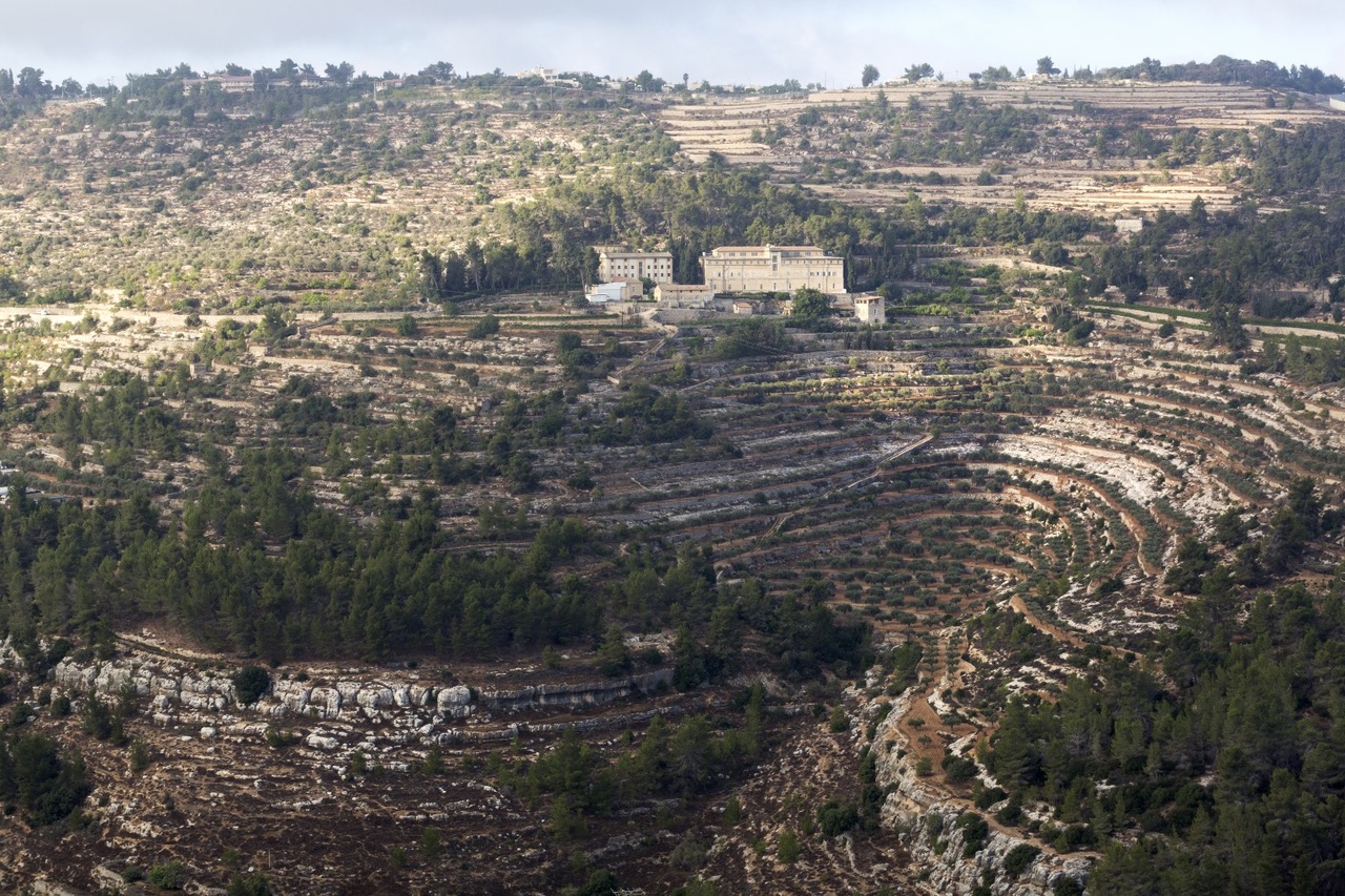 Karim Kattan, Le Palais des deux collines