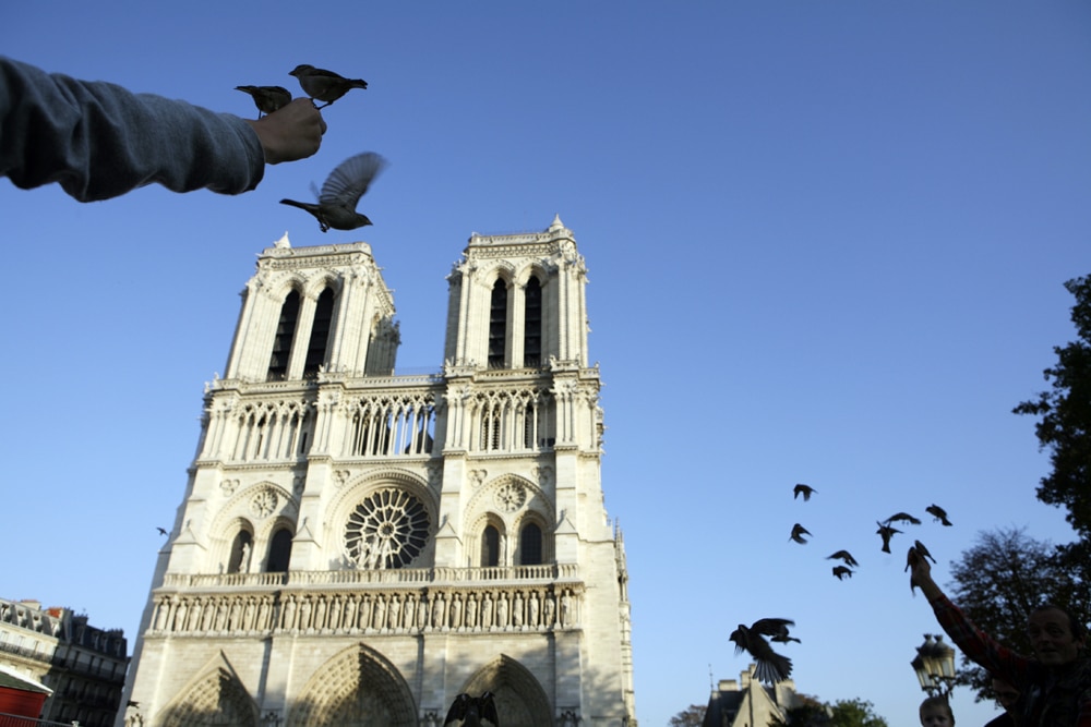 Nathalie Heinich, dir., Notre-Dame des valeurs, Retour sur une émotion patrimoniale, Mathieu Lours, Les Cathédrales dans le monde, Entre religion, nation et pouvoir, Maryvonne de Saint Pulgent, La Gloire de Notre-Dame, La foi et le pouvoir,